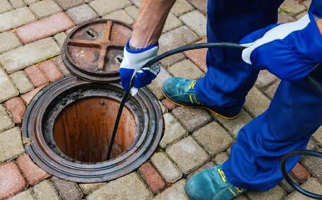 pets blocked drains?